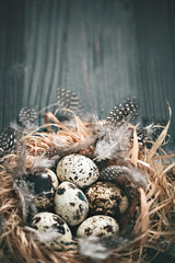 Fototapeta na wymiar Quail eggs on old wooden background. Happy Easter. Top view. Free copy space. Selective focus.