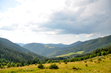 Fototapeta na wymiar forest on top of the mountains