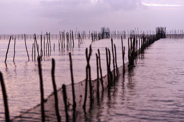 Fototapeta premium Sticks on the sea at the east side of Belitung Island druing sunset, Indonesia