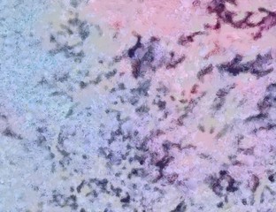 High quality detailed close up texture. Macro background in oil. Dry strokes of brush. Amazing beauty backdrop. Perfect pattern in vintage painting style.