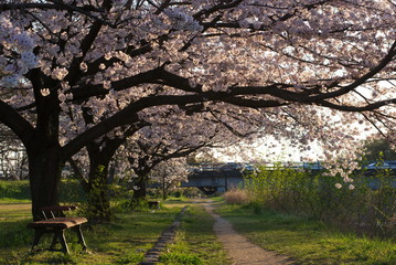 スナップショット（Snapshot）