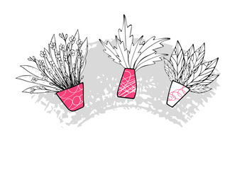 Set of vector flowers vaves in doodle style. 