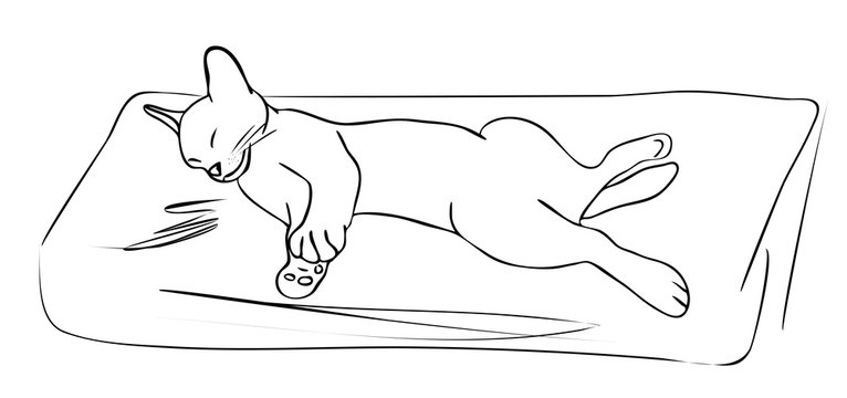 recommend clip art: Vector illustration, isolated happy cat lies on a pillow in black and white colors, outline hand painted drawing