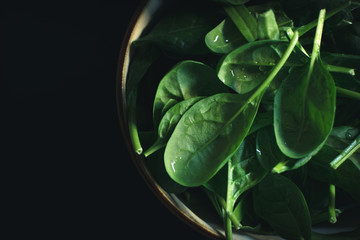 Baby spinach in the bowl on the dark background