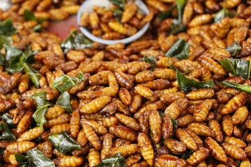 Fried silk worms delicious in street food