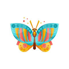 Beautiful butterfly insect vector Illustration on a white background