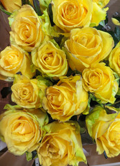 A bouquet of fresh beautiful yellow roses in a vase.