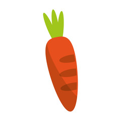 Carrot vegetable food symbol