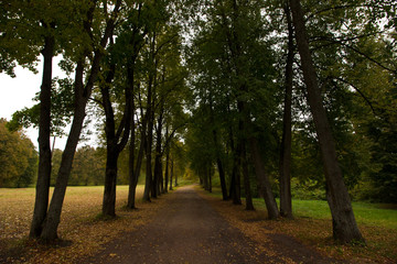 alley in autumn Park