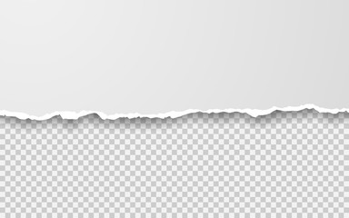 Horizontal torn paper edge. Ripped squared horizontal white paper strips. Vector illustration