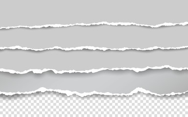 Horizontal torn paper edge. Ripped squared horizontal white paper strips. Vector illustration