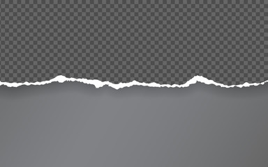 Torn paper edge. Torn paper stripes. Ripped squared horizontal paper strips. Vector illustration