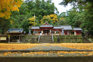 蒲生八幡神社の紅葉