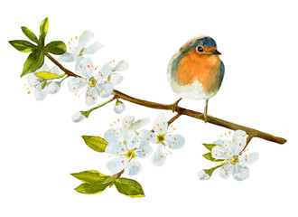 Beautiful bird on a flowering branch. Hand drawn watercolor - 259361376