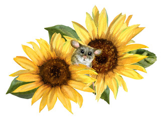 Watercolor cute mouse in yellow sunflowers. Hand drawn watercolor - 259361509