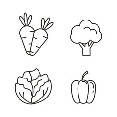 Set of vegetable icon with outline design. Vegetable vector illustration 