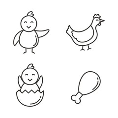 Set of chicken icon with line design. Chicken vector illustration