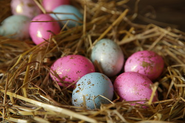 Fototapeta na wymiar Colorful Easter eggs in a nest of straw on a rustic table