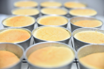 Close up of cupcakes after baking in the hot oven, homemade cake.