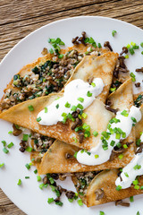 crepes envelopes with minced wild mushrooms, pork brisket, and fried onion decorated with sour cream, green onion, and honey agarics