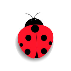 Ladybug icon in flat design. Vector illustration. Red ladybug isolated on white background