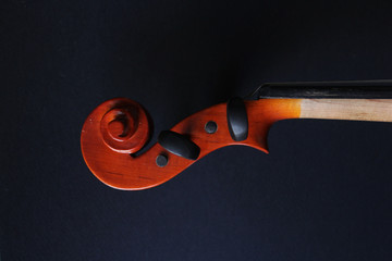 Musical instrument. Violin. Old violin.  © Vavzhyniak Dasha