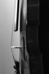 Musical instrument. Violin. Old violin. Black and white photo
