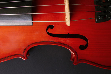 Musical instrument. Violin. Old violin.