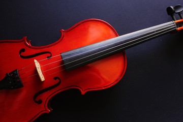 Musical instrument. Violin. Old violin.