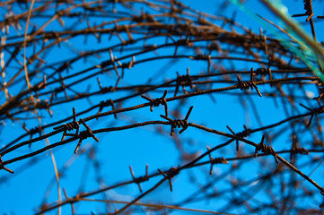 barbed wires against blue sky. A lot of barbed wire.