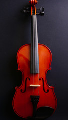 Musical instrument. Violin. Old violin. 