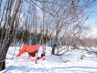 冬 ハンモック キャンプ