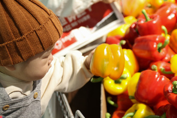 쇼핑중인 아기 (대형마트 야채 코너 파프리카)