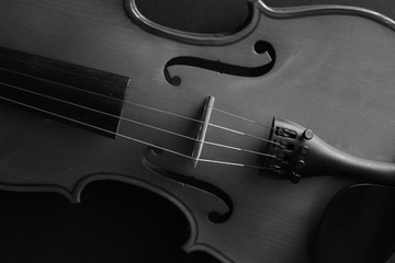 Naklejka premium Musical instrument. Violin. Old violin. Black and white photo