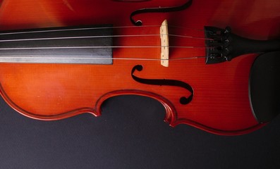 Fototapeta premium Musical instrument. Violin. Old violin.