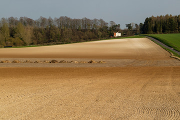 Micheldever, Winchester, Hampshire, England, UK. March 2019. Agricultural land having been seeded....