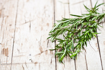 Fresh rosemary herb on rustic wooden background.