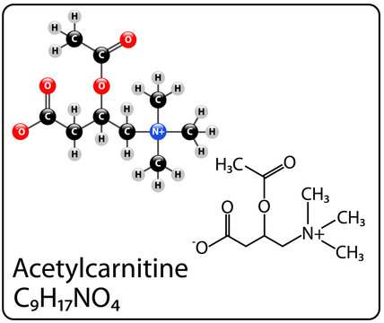 Acetylcarnitine Molecule Structure