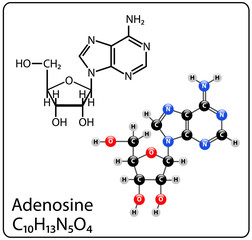 Adenosine Molecule Structure