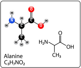 Alanine Molecule Structure