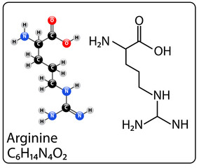 Arginine Molecule Structure