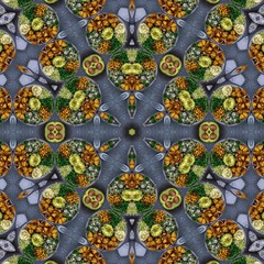 Food mandala design
