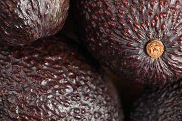 Dark brown avocado (bilse variety) skin close up.