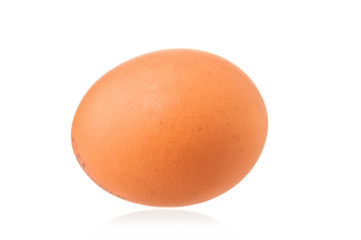 Egg close up isolated on white background