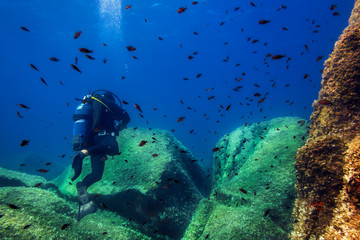 Fototapeta na wymiar diver in the blue sea surrounded by red fish