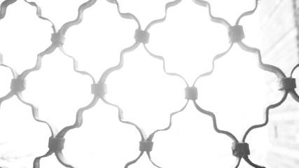 seamless pattern with flowers