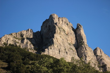 Berg