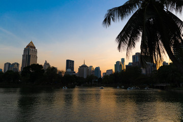Plakat Lake view of Lumpini Park in the city with coconut tree wreckage in beautiful sunset city scape two tone building background.