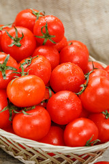 Fresh red tomatoes in a wicker basket on an old wooden table. Ripe and juicy cherry tomatoes with drops of moisture, gray wooden table, around a cloth of burlap. In a rustic style.