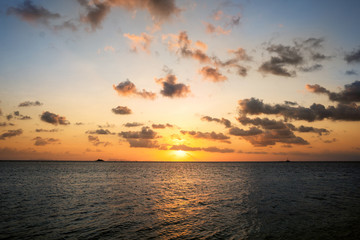 Fototapeta premium sunset on the sea with tropical palm trees